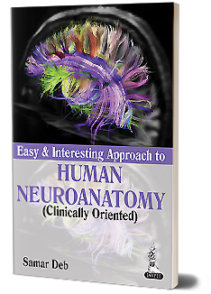 Easy and Interesting Approach to Human Neuroanatomy (Clinically Oriented)